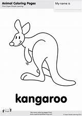 Kangaroo Coloring Supersimple Simple Super Visit sketch template
