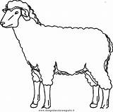 Pecore Pecora Colorare Disegno Mouton Oveja Presepe Coloriage Gregge Schafe Megghy Clicca Cani Capra 1710 Ausmalen Agnello Asino sketch template