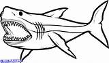Shark Great Drawing Clipart Coloring Clipartmag Pages sketch template