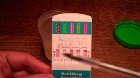 conducting   panel urine drug test guide    works