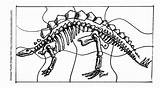 Sonlight Archeology Dinosaurs Fossils Bubakids Fossil Lapbook sketch template