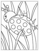 Ladybug Coloring Color Pages Animals Animal Print Back Bug Lady sketch template