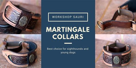 martingale collar  choice  dogs learning leash manners