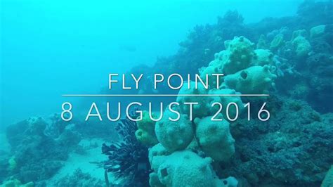 fly point nsw  august  youtube