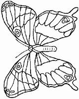 Farfalle Mariposas Coloriage Colorat Papillon Fluturi Planse Bojanke Leptiri Imprimir Coloriages Crtež Imprimer Papillons Fluture Divertirse Bojanje Tri Desene Flori sketch template