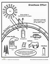 Greenhouse Effect Science Coloring Diagram Worksheets Education Global Warming Atmosphere Earth Worksheet Climate Gases Change Grade Read Natural Sketch Activities sketch template