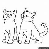 Coloring Two Kittens Pages Cats Baby Animals Kitten Thecolor Puppy Kitty sketch template
