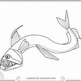 Coloring Viperfish Drawing Pages Viper Fish Designlooter 19kb 268px Paintingvalley sketch template