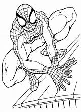 Colorare Spiderman Disegni Pianetabambini Hulk Disegnare Cartoni Animati Idee sketch template