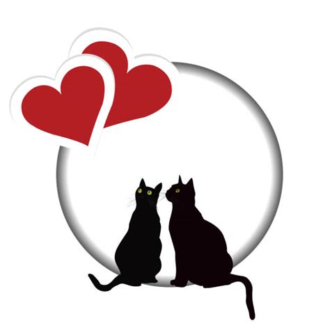 cats illustrations royalty  vector graphics clip art istock