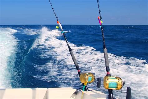 saltwater fishing rods    experts