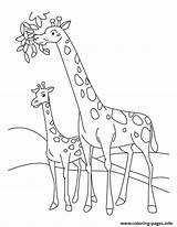 Animal Food Coloring Having Giraffes Pages Printable sketch template