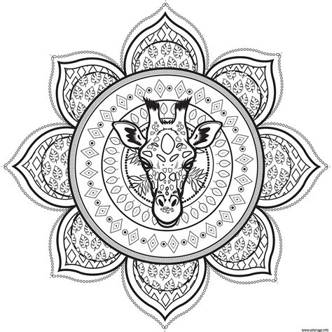 coloriage mandala complexe giraffe pour adulte dessin adulte  imprimer