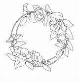 Outlines Borders Frames Bloemenkrans Wreath Camellia Clipartspub Nicepng Freepngclipart Pngitem sketch template
