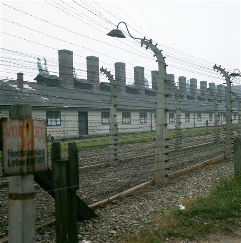 arriving  auschwitz holocaust concentration camps pictures  holocaust historycom