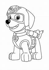 Zuma Paw Patrouille Coloriage Patrulla Ausmalbild Canina Dessin Infantis Seleccionar Imprimer Dibujar sketch template