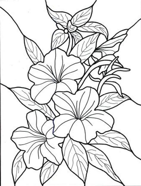 tropical flower coloring pages getcoloringpagescom