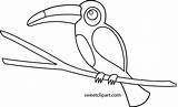 Toucan Coloring Clip Cute Sweetclipart sketch template