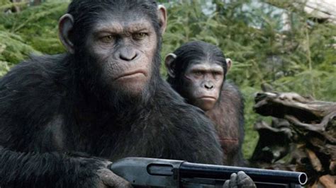 apes beats sex tape at weekend box office