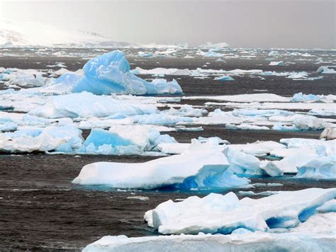 fileap ice floes jpg wikimedia commons