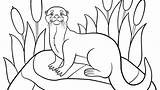 Otter Otters sketch template