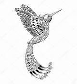 Zentangle Hummingbird Artistically Triba Stylized Entangle Panki Tribal Kleurplaat Vogel Voor Kolibrie Tattoo Volwassen Stockillustratie Totem sketch template