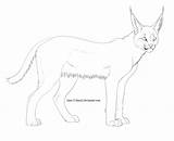 Caracal Coloring Lineart Pages Cat Lines Deviantart Draw Colouring Use Popular sketch template