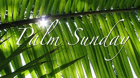 stuff  legend bible verse sunday  palm sunday