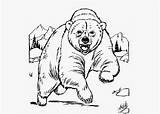 Bear Grizzly Coloring Cartoon Color Pages Cub Drawing Angry Pencil Drawings Bears Cubs Loading Template sketch template