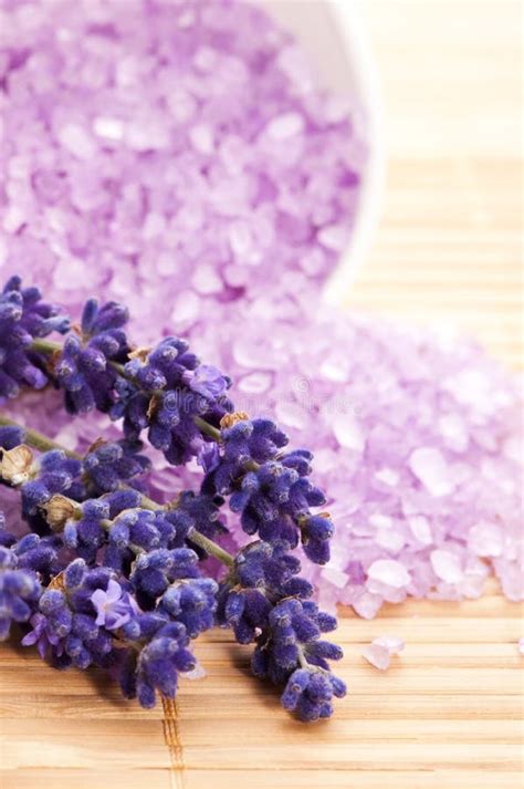 lavender spa stock photo image  product bath health