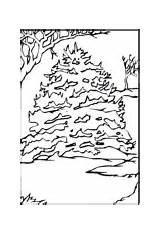 Pine Coloring Tree Snow Pages Printable Trees Color Beautiful Supercoloring sketch template