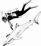 Diver Scuba Shark Coloring Drawing Pages Sketch Diving Paintingvalley Clipartmag Gif sketch template