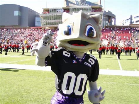 oddest mascots  college football page    cleverst page