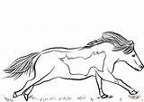 Coloring Horse Miniature Pages Runs Mini Printable Drawing Categories sketch template