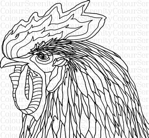 rooster printable adult coloring page instant