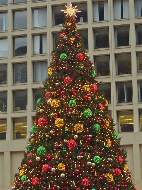 chicago daley plaza christmas tree     alte flickr