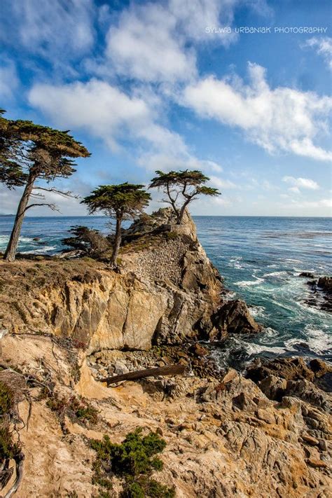 item  unavailable etsy cypress california california coast
