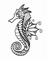 Seahorse Zentangle Cavalluccio Caballitos Mandala Seahorses Tatuaggio Maori Caballito Seepferdchen Doodle Mandalas Cavallucci Marini Westend Caballo sketch template
