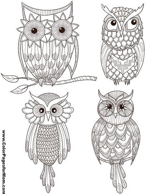coloring pages  adults  children owl coloring pages