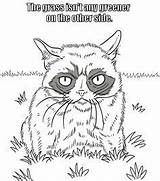 Coloring Cat Grumpy sketch template