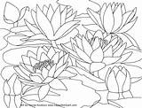 Lilies Waterlilies Happyfamilyart Pointillism Monet sketch template