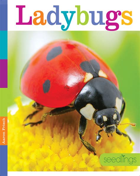 ladybugs childrens book  kate riggs aaron frisch discover