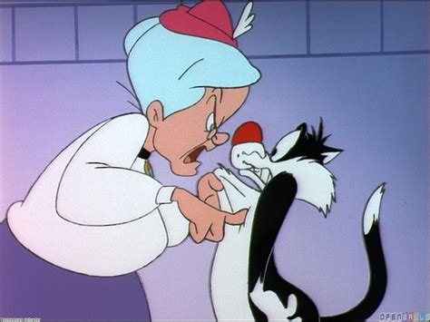 Sylvester The Cat And Granny Looney Tunes Characters Sylvester The
