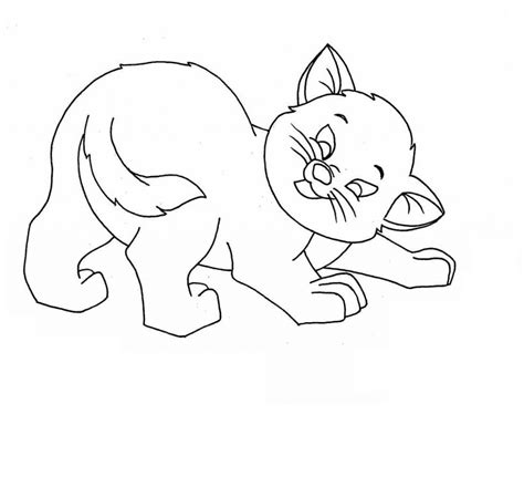 kitty cat coloring pages photo animal place
