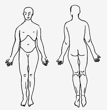 human body outline printable   human body outline