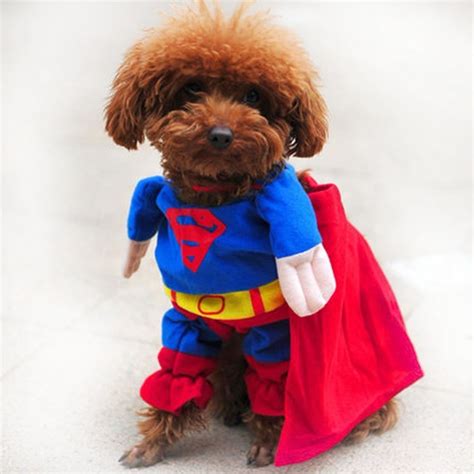 funny dog clothes halloween costume puppy coat  small dogs pets