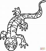 Salamander Salamandra Colorear Tigre Sheet Salamandras Supercoloring Anfibi Vbs Amphibian Animali Desenho Ausmalbild Onlinecoloringpages Colorearya Clipartmag sketch template