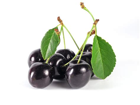 black cherry  health benefits  herbal health