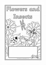 Topic Sparklebox Insects Covers Flowers Book Related Items Editable sketch template