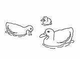 Duck Coloring Pages Water Printable Kids Baby Color Print Getcolorings Bestcoloringpagesforkids sketch template